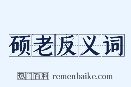 硕老反义词是什么意思的图片